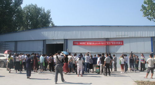 河南省“四優(yōu)四化”科技支撐行動計劃食用菌專項平菇、雙孢蘑菇工廠化生產(chǎn)新技術(shù)觀摩交流會暨技術(shù)轉(zhuǎn)讓會成功召開